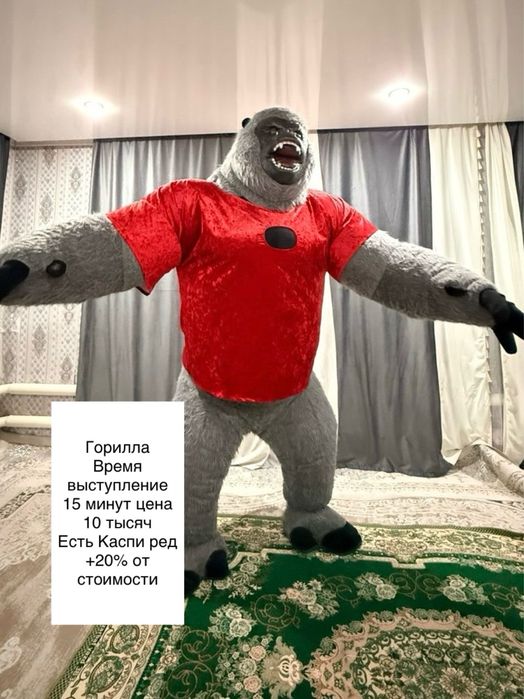 Аниматоры прокат и выступление