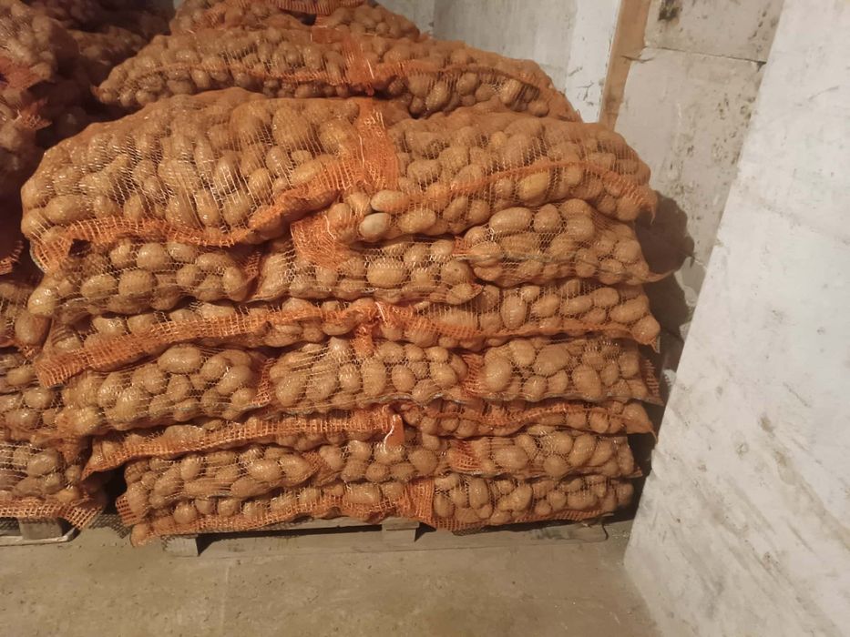 Cartofi consum albi,ultra calibru50+