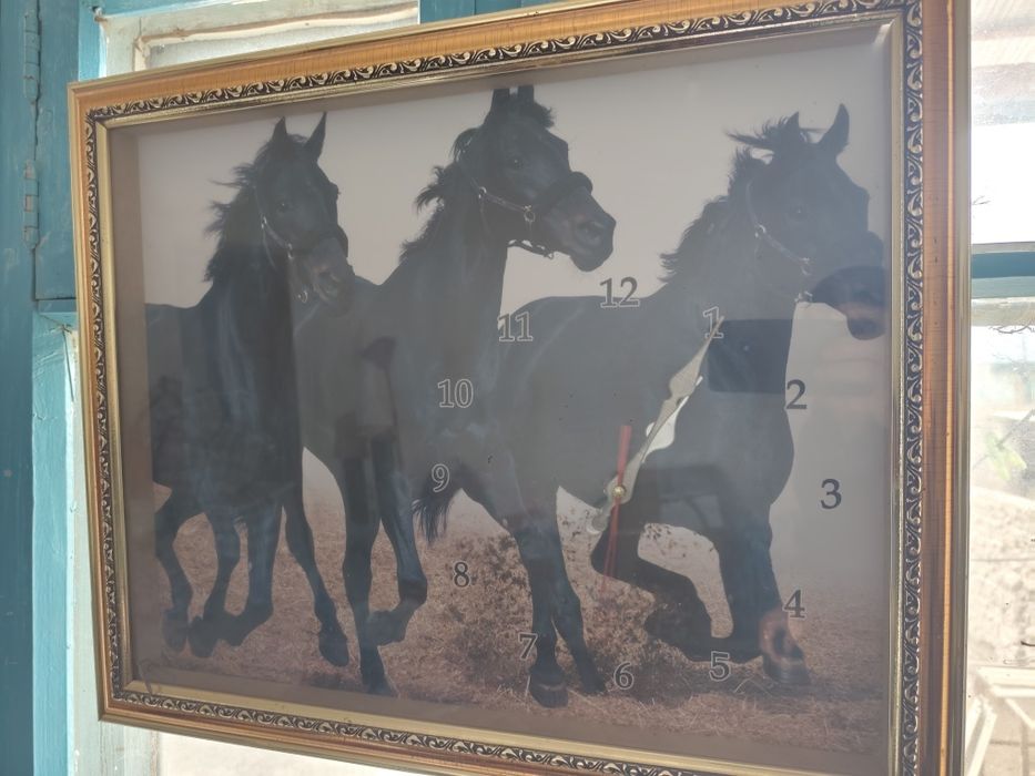 Televizor kalonka Saat isleyd