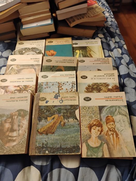 Cărți de literatură