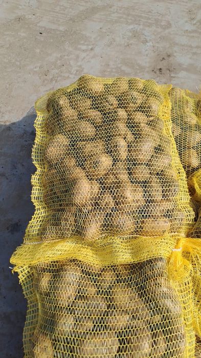 Cartof consum ambalat la plase de 10,15 sau 25 kg