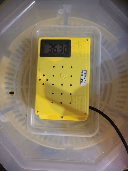 Incubator ouă struț emu