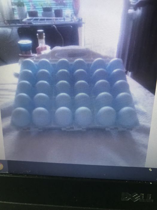 Контейнер за пренос и съхранение на яйца--30бр-Силикон. форми за печен