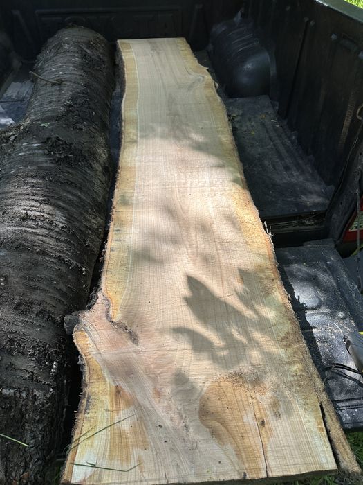 Nuc si cires / blaturi lemn masiv