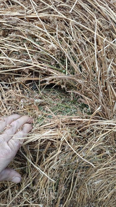 Vând baloți mari de fân și lucerna