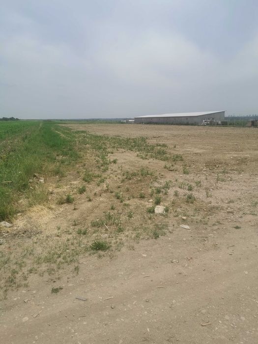 Teren str sticlelor/industrial între 5000mp-15000mp/intravilan