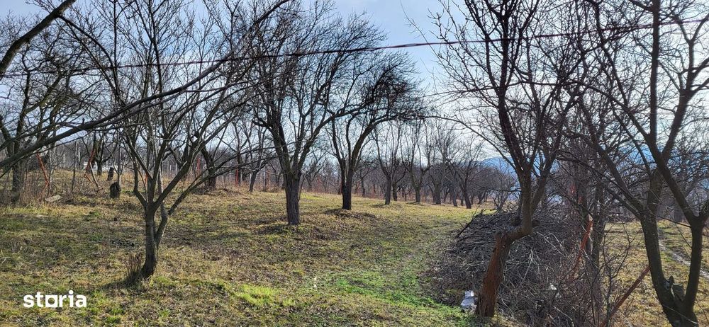 Teren Intravilan 43Ari zona Ortelec-Zalau intre case 4800eur/ar