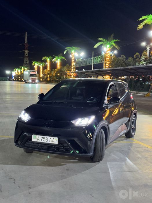 Byd seagull tozza