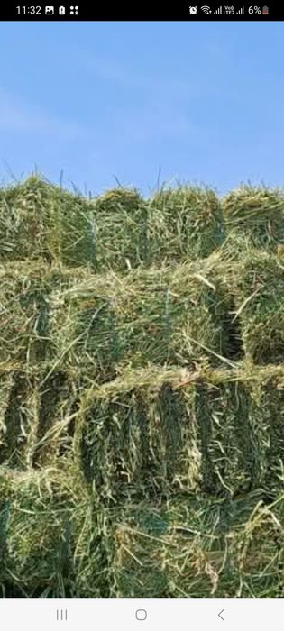 Vand baloti de lucerna