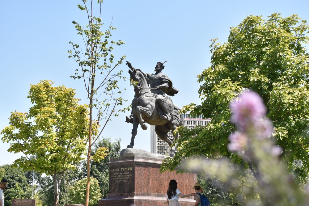 Nikon D5600,55-200mm.