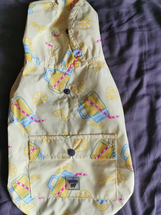 Кучешки дрешки и стоки