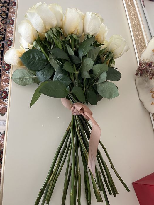 Свежие цветы розы
