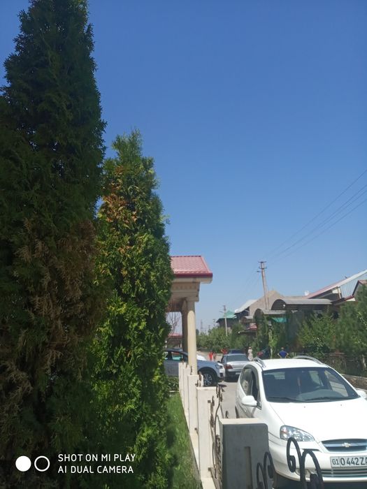 Archa kesish xizmati dorilash xizmati