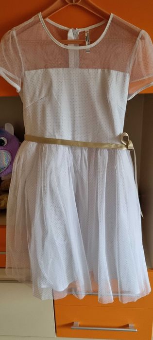 Vand rochita noua Cocodrilo masura 158