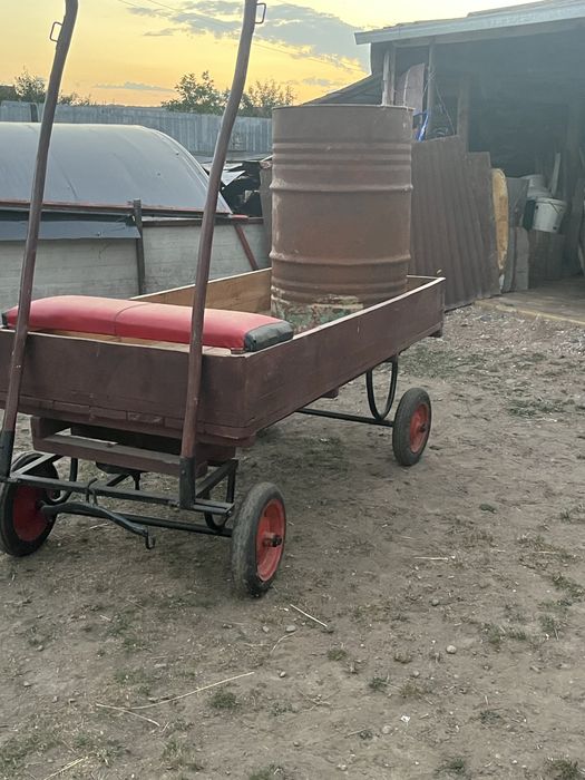 Vand ponei si caruta si ham cu totul