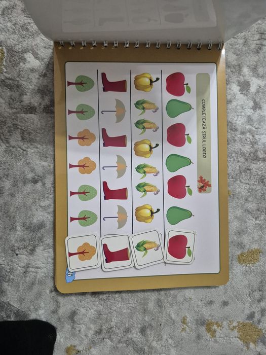 Carte activitati
