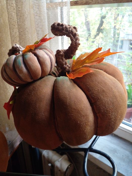 Декоротивная тыква