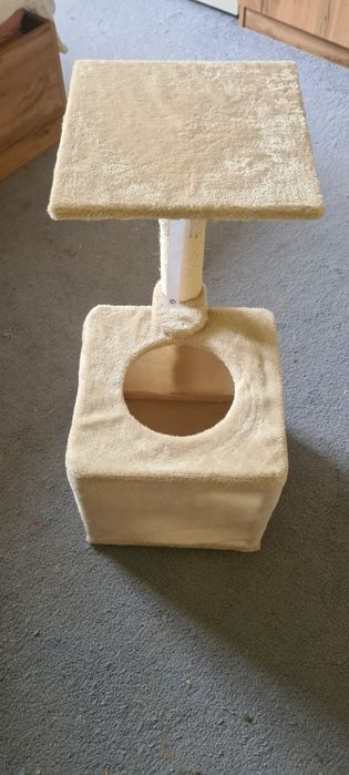 Котешка катерушка
