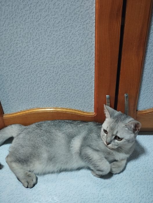 Rimdagi jinsiy qishloq