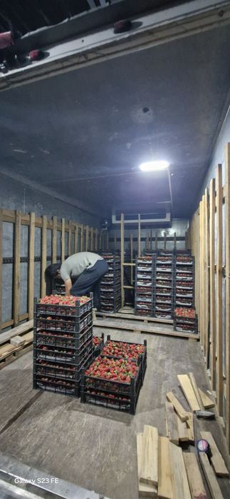 Услуги Рефрижератор Реф