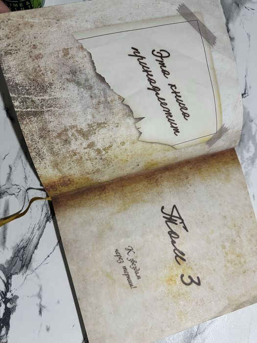 Книга Гравити Фолз дневник 3