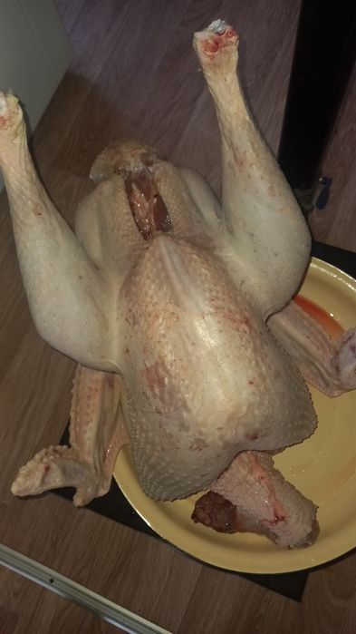 Мясо индейки  индюшатина