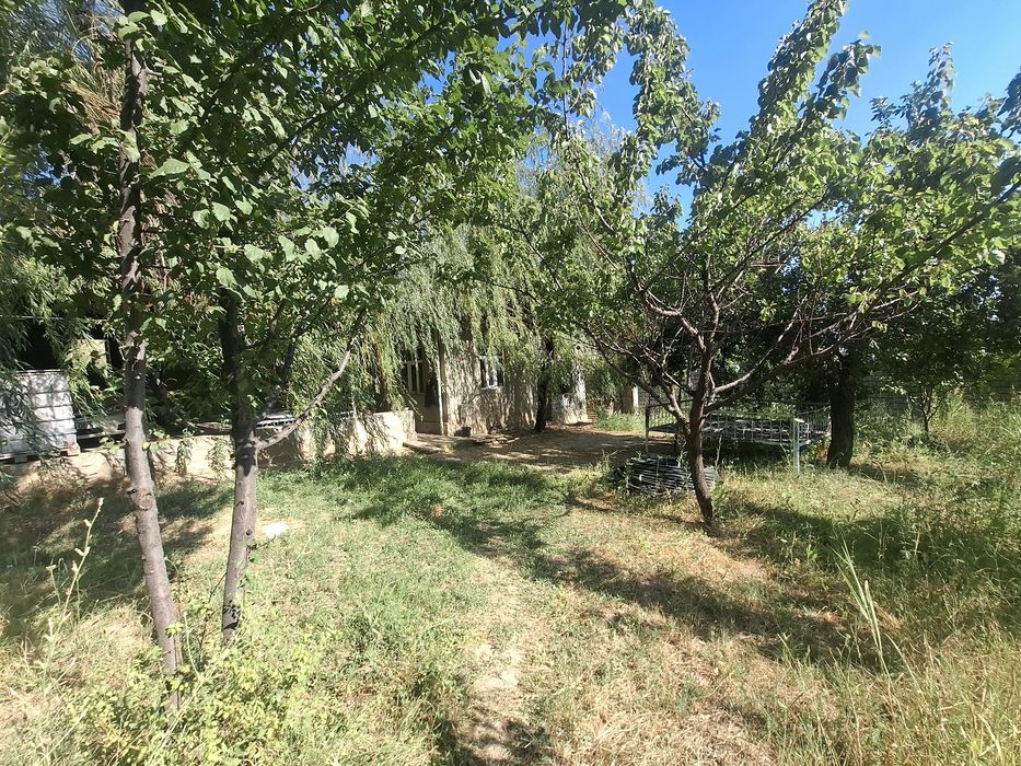 Oqtoshda srochna dacha uchun joy