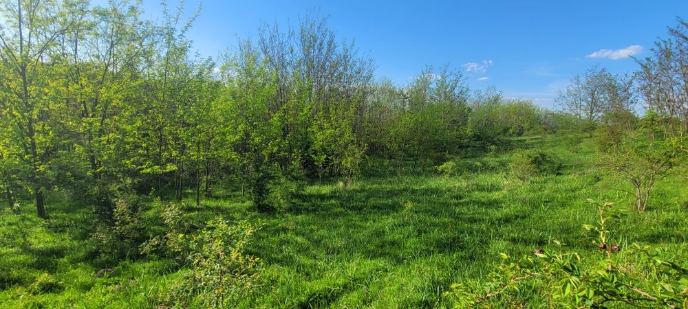 Vand teren arabil 3 ha