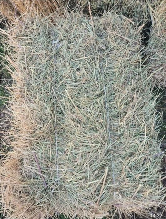 Тау майлы шөп тюк