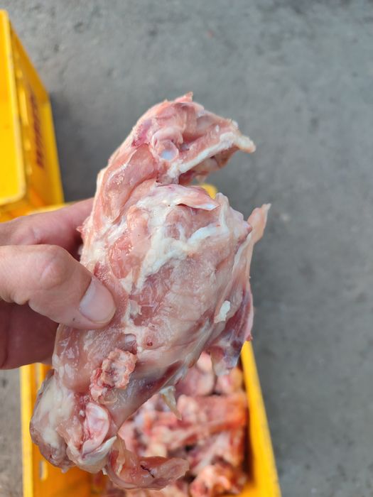 Спинки и тушки  по 250