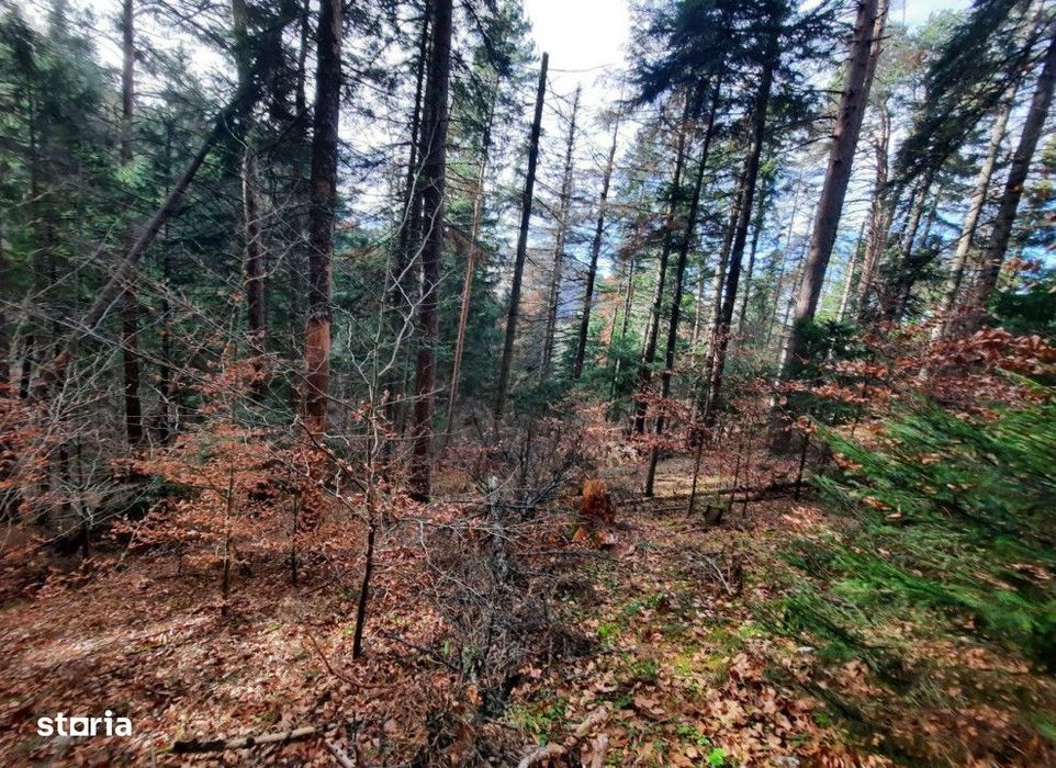 Teren extravilan , 2500 metri Cod:160694