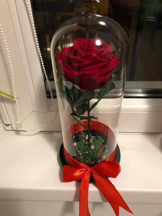Trandafir criogenat cadou
