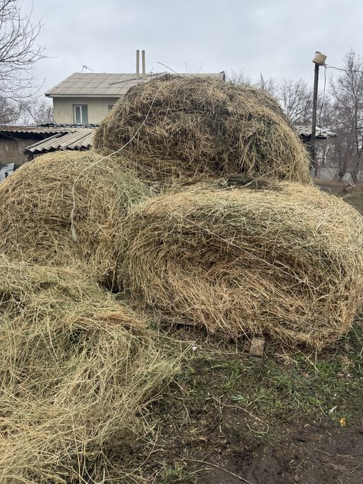 Шоп рулон сатылады срочно