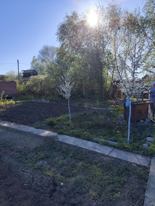 Продам дачу на Орленке