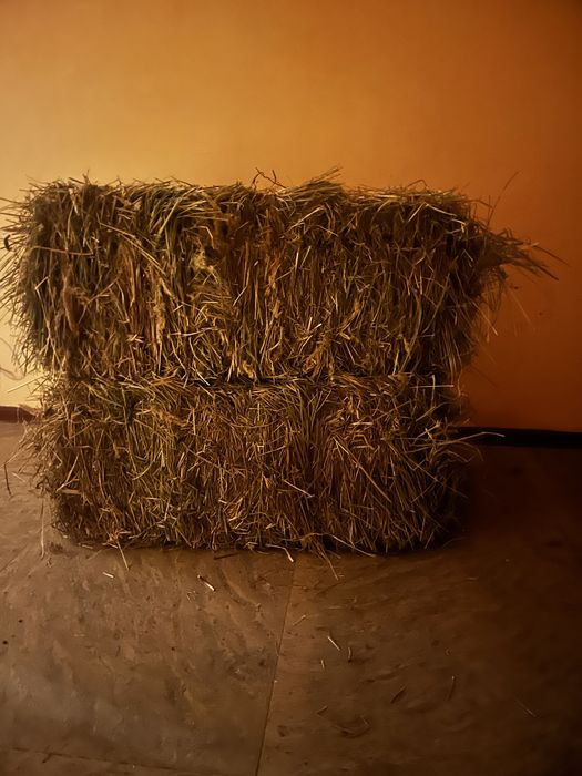 Сено Разнотравье Шоп