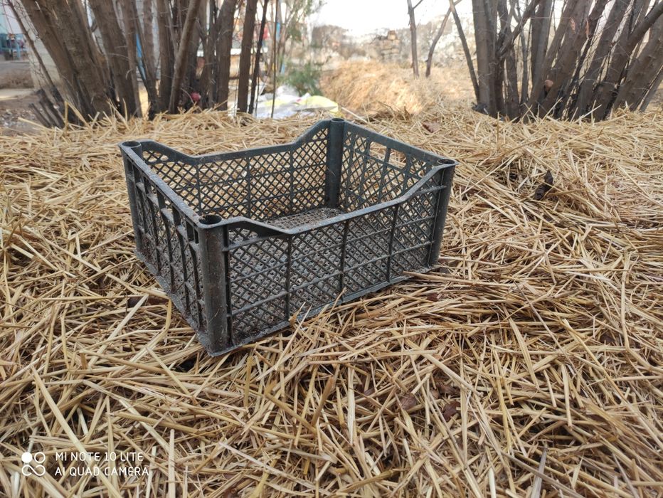 California qizil chuvalchanglari hamda biogumus sotiladi