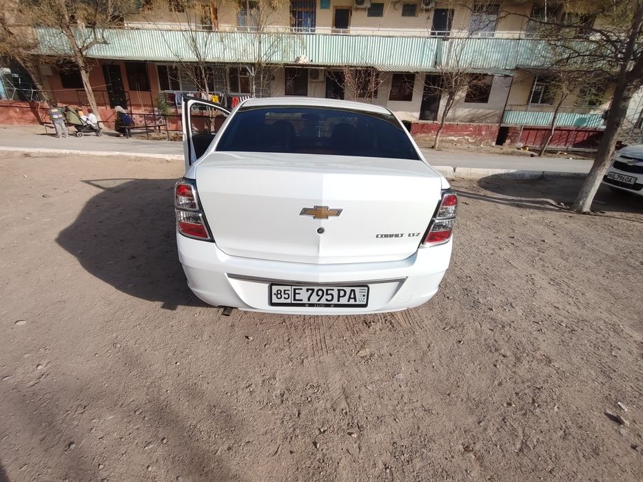 Cobalt 2025 midnight