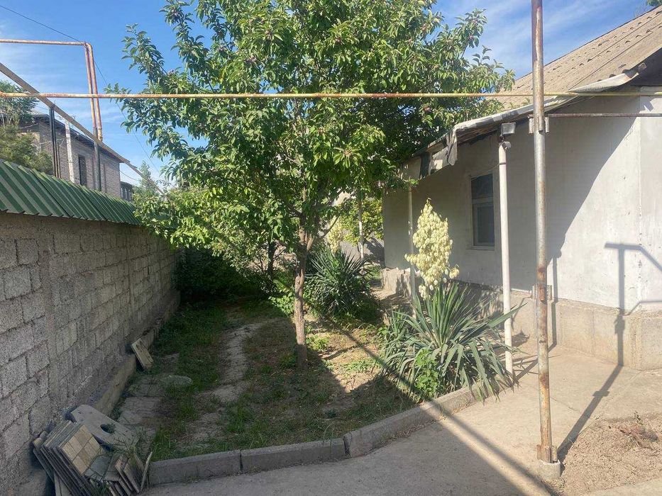 Янги Узбекистон Мирзо Улугбекский 6соток Чингелди НЕ СНОС ЕСТЬ СПРАВКА