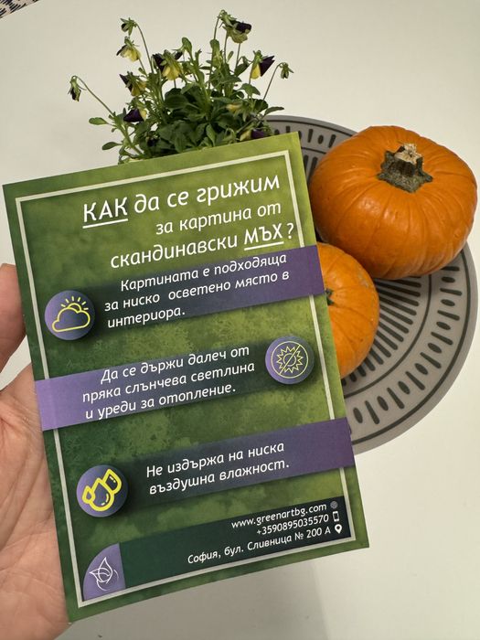 Зелена картина от скандинавски мъх