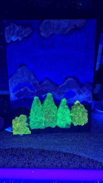 Realizez vând tablouri diferite modele