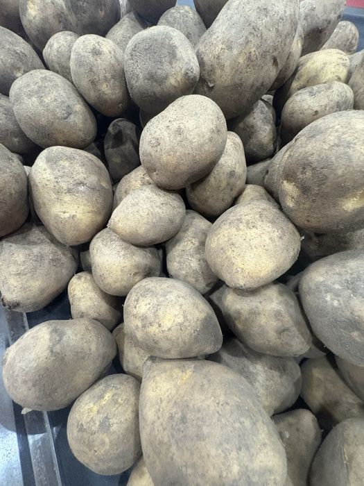 Картофель гала 177 тенге