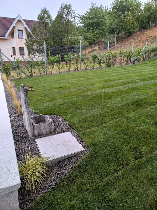 amenajări spații verzi