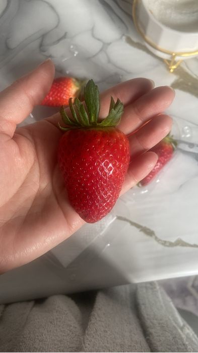 Клубника в шоколаде