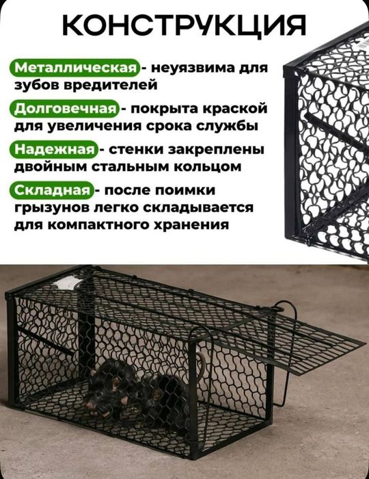 Kalamush qopqon Мышеволька