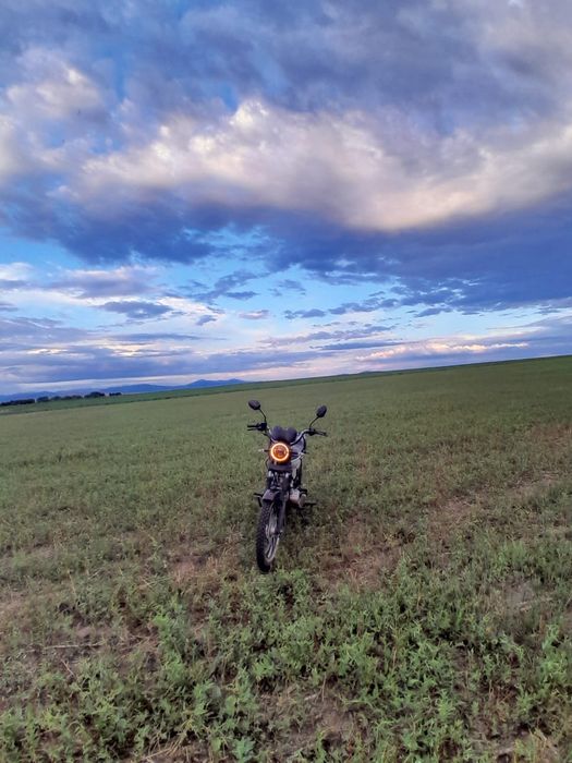 Продам или обмен альфу