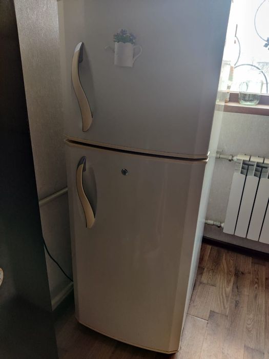 Холодильник буушный