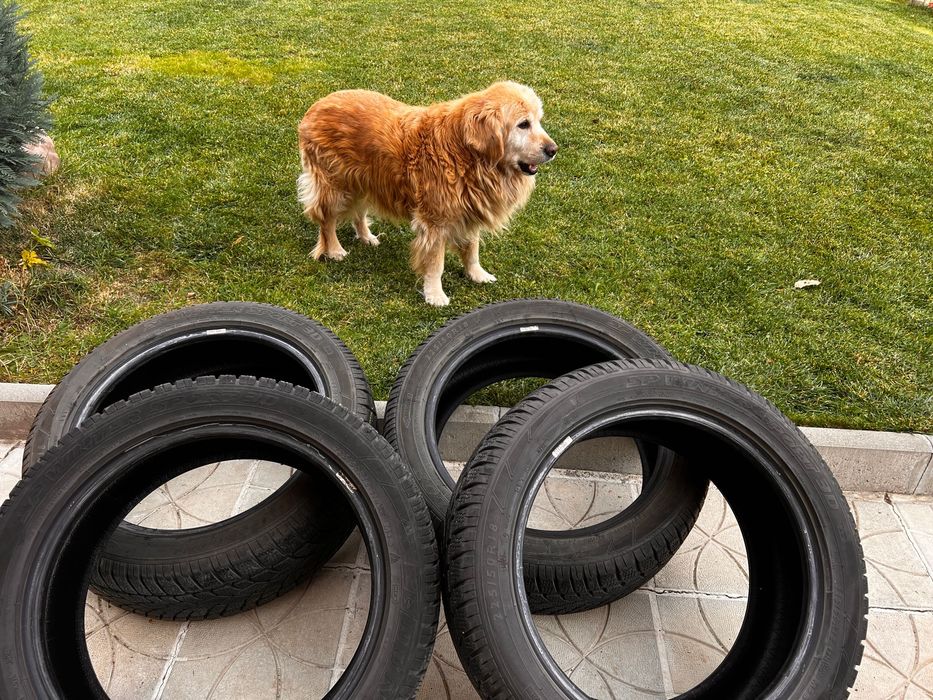Зимни гуми   DUNLOP