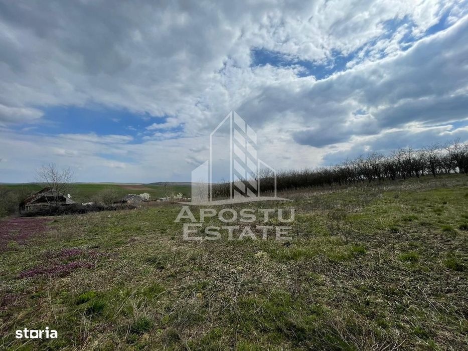 Teren intravilan pentru investitie, 2896 mp, Herneacova Timis