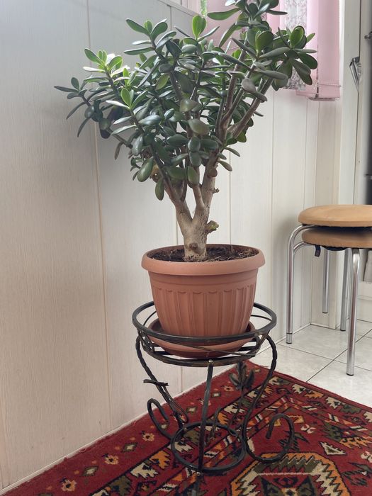 Подставка для цветов