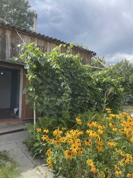 Продам дачи на Солнечной долине